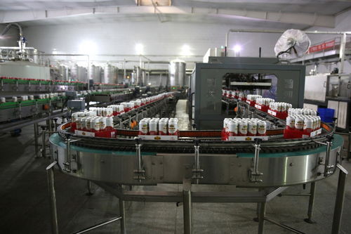 餐桌上的食品安全無小事,走進(jìn)沈陽(yáng)綠色工廠,探訪神秘生產(chǎn)線